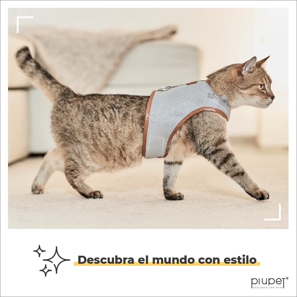 PiuPet® Arnes antiescape para Gatos (M) 1,2m - Collar Seguro y Robusto - Correa para Perro pequeño