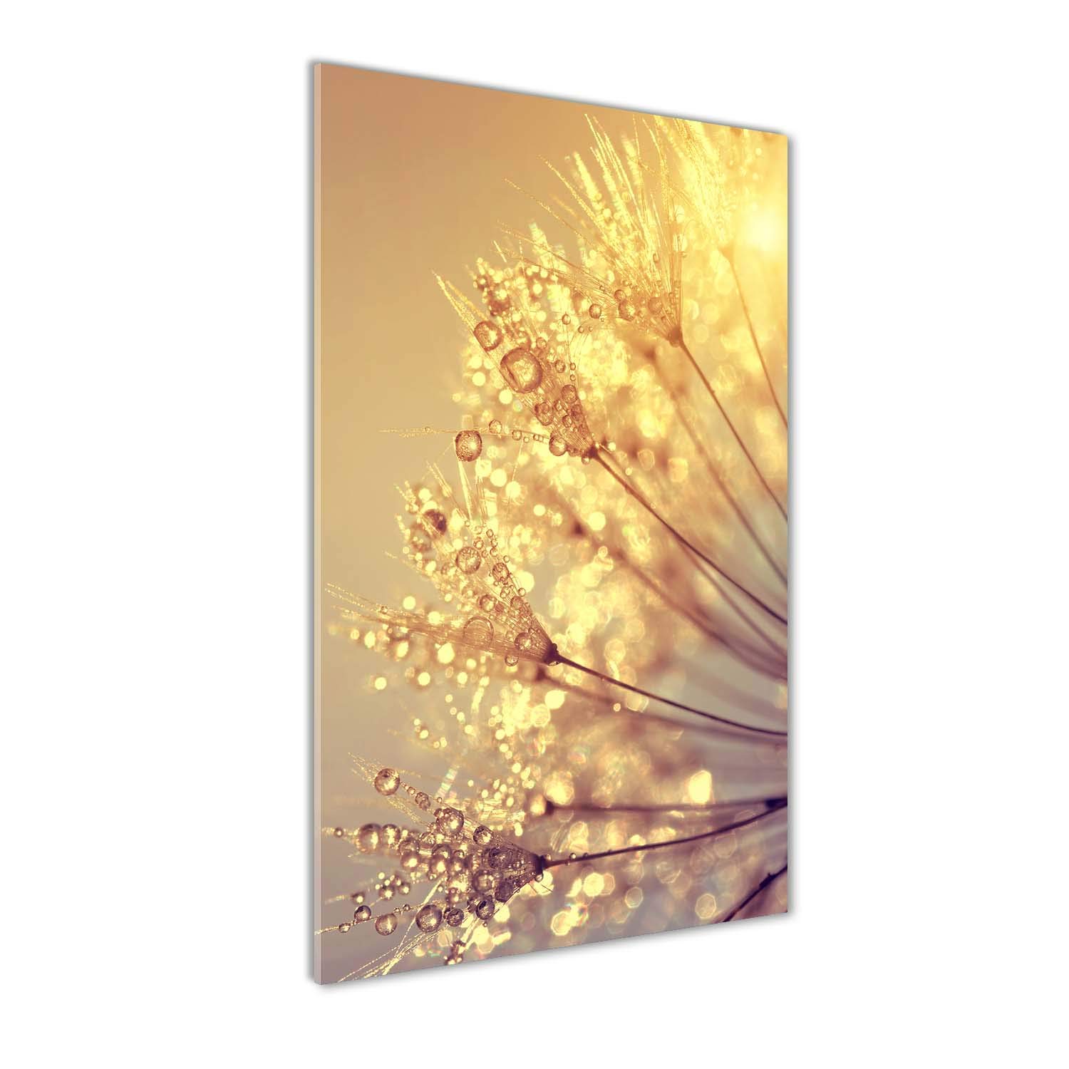 Graines de Pissenlit Jaune sur Verre Décoration Panoramique