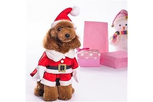 NACOCO Pet Christmas Dog Santa Suit Hoodie