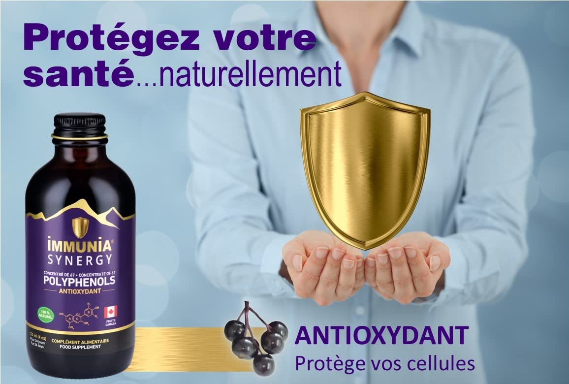 Immunia SYNERGY. Polyphénols concentrés. Puissant antioxydant naturel. Baies de Sureau, Camerise, Bleuet sauvage, Cassis, Aronia. 67 antioxydants. Fruits du Canada. Délicieux (1-Pack)