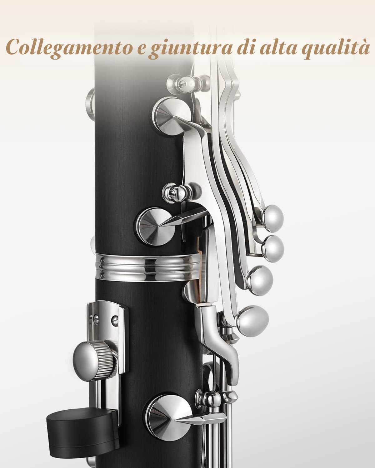 Clarinetto Eastar B Flat per Principianti, Clarinetto in Ebanite Nichelato con 2 Canne, 3 Ance, Guanti Bianchi, Custodia Rigida, Cleaning Kt, ECL-300