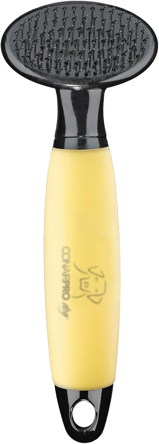 8 Best Brushes For Bichon Frises With 5 Simple Brushing Tips SPIRE PET