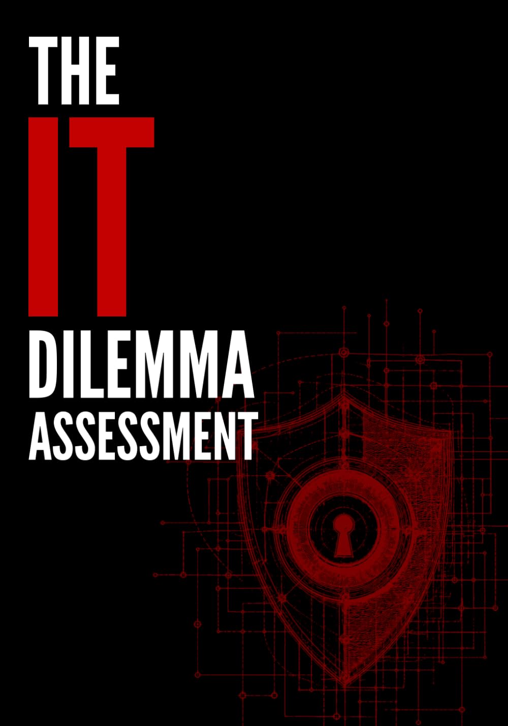 The IT Dilemma Assessment: Enterprise Cybersecurity Governance & Readiness Workbook for Business Leaders