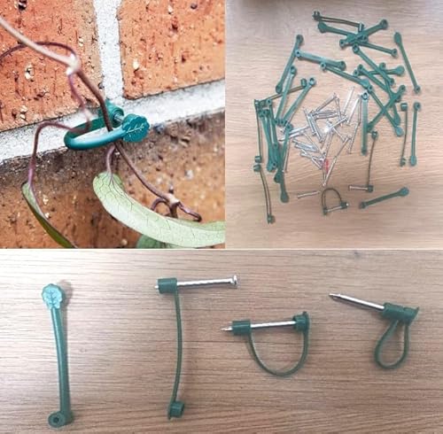 Garden Haven Climbing Plant Green Stem Support Clips with 32mm Hardened Wall Nails Pack 30 Plant Health Maintenance, Training Clematis on Walls, Fences, Small Shoots, Loop Size 15mm