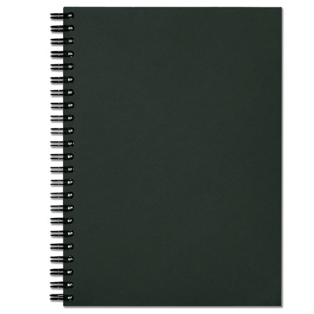 Prat Paris #501 Refill Cartridge Sheet Protectors, 9.5x12.5", For Classic 142 Spiral Book, Pack of 20.