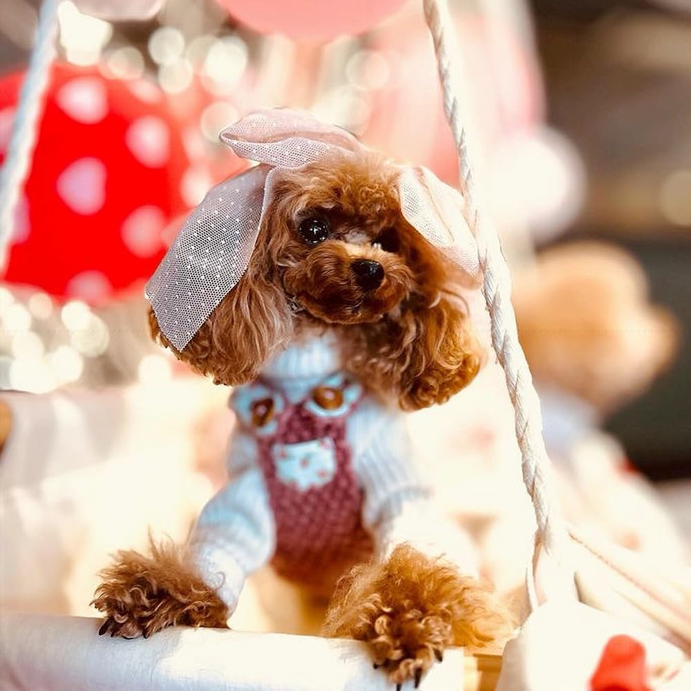 Amazon | [オメカシペット] 犬 リボン 頭飾り チョーカー ドッグ ヘア