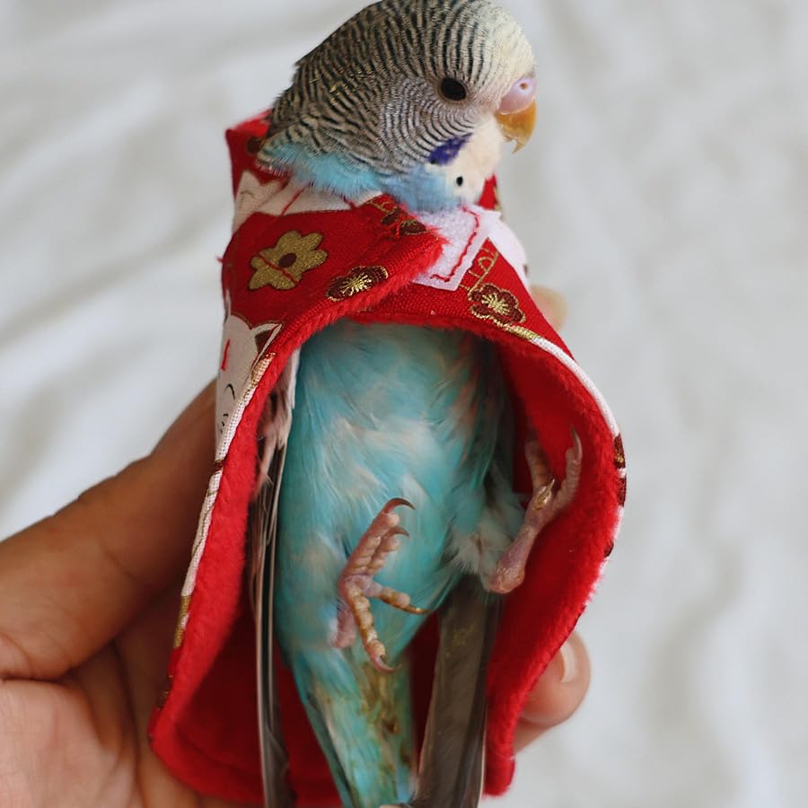 Amazon.co.jp: 鳥用 服 インコ お出かけ服 かわいい鳥服 小動物用服