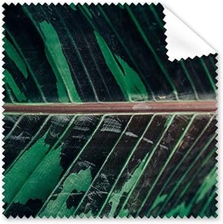 Simpol Banana Nature Photo Cleaning Cloth Phone Screen Glasses Cleaner 5pcs