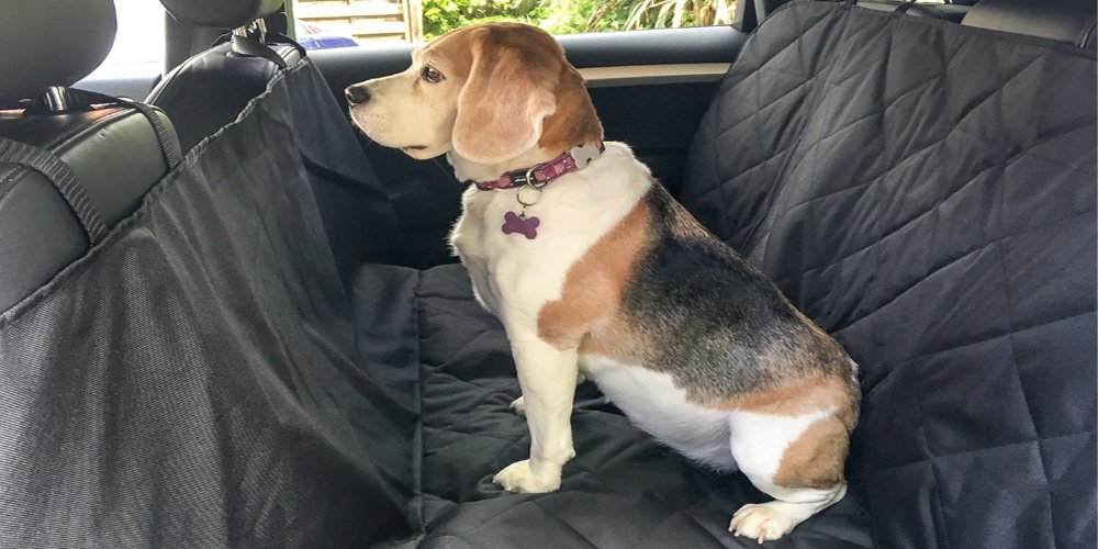 HandiWorldDog Seat Cover