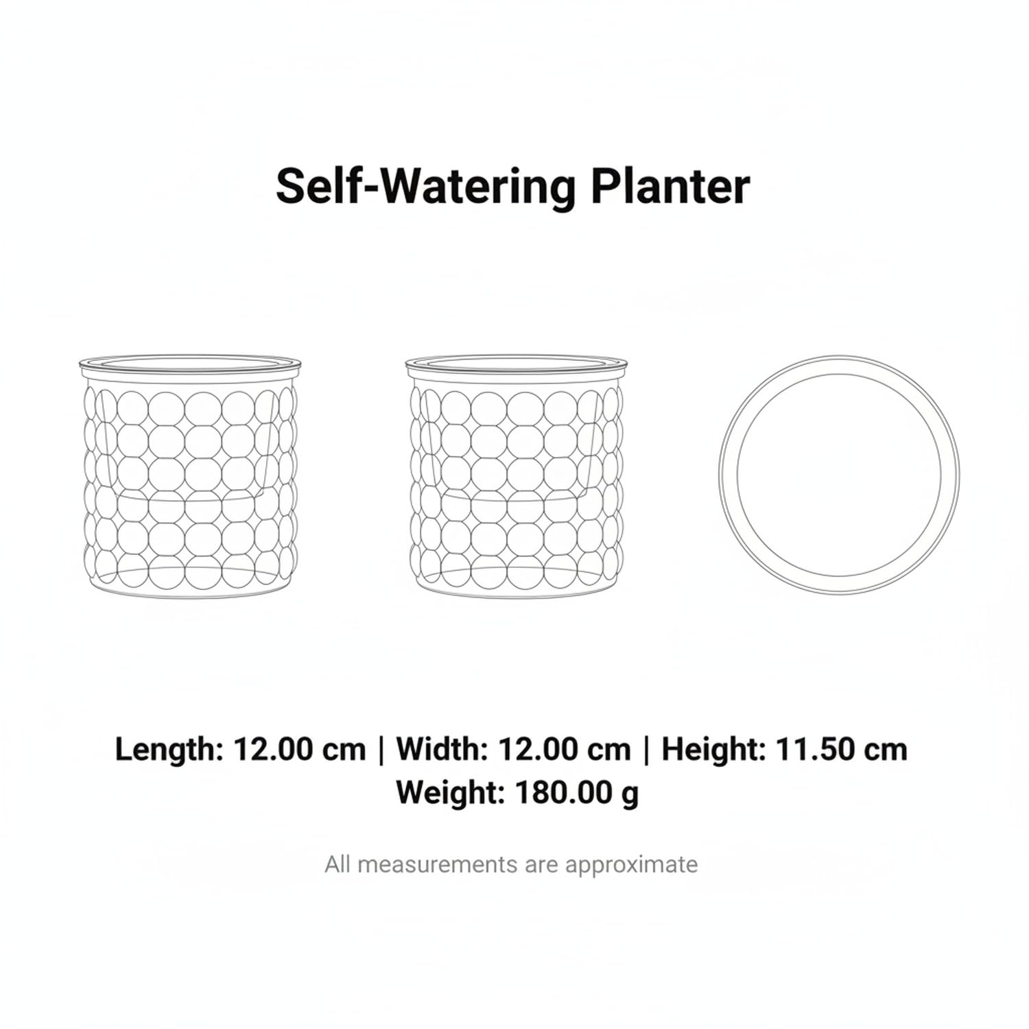 Vaso Autoirrigante