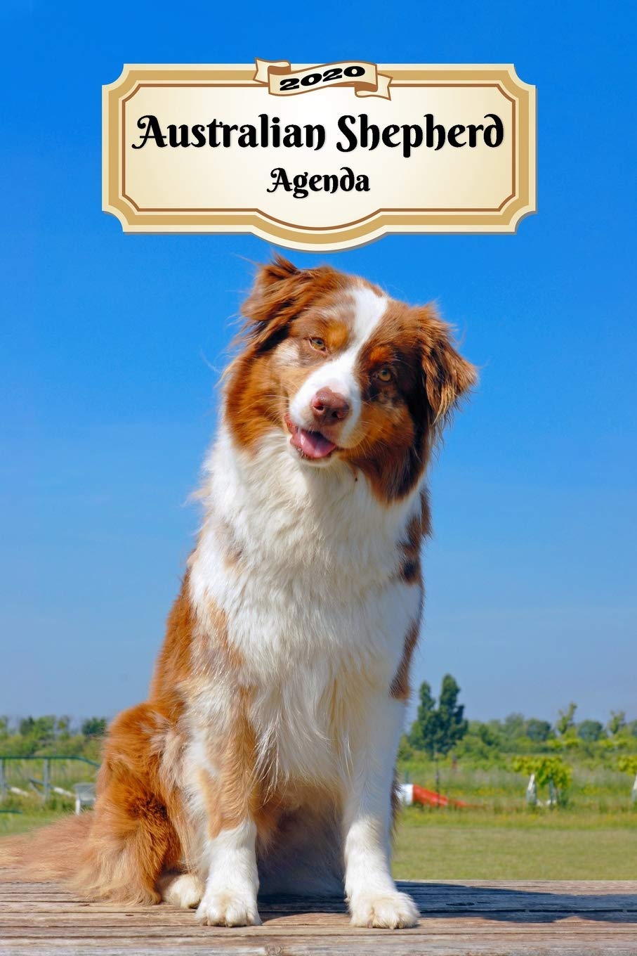 2020 Australian Shepherd Agenda: 107 Pagine | Dimensioni DIN A5 | Pianificatore Settimanale | 12 Mesi | Due Pagine Per Settimana | Calendario | Diario | Cane