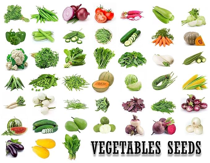 Image of Devender Farm Premium Vegetable Seeds Pack, 15 Packets Of Organic & Hybrid Vegetable Seeds For Home Garden & Planting For Pots And Patio