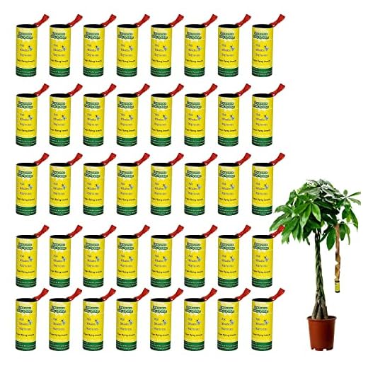 40 Pack Fly Traps for Indoors Outdoor, Fly Paper Strips, Sticky Hanging Fly Tape Catcher Ribbon, Fruit Fly Gnat Trap Killer