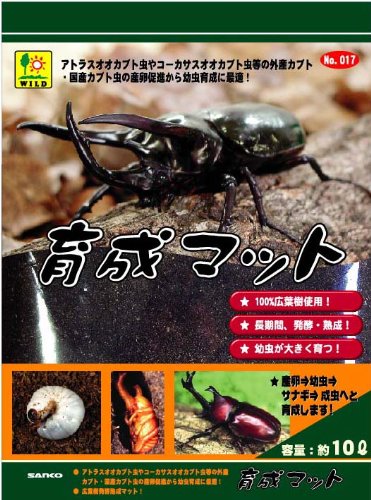 カブトムシ用のマットおすすめ10選 クヌギやひのきも Heim ハイム