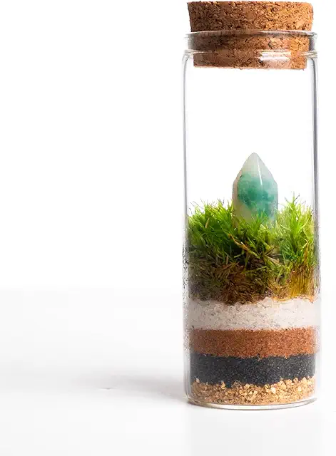 Terrario in Bottiglia Autosufficiente - Ecosistema Piante in Vetro - MINITERRA MINERALE