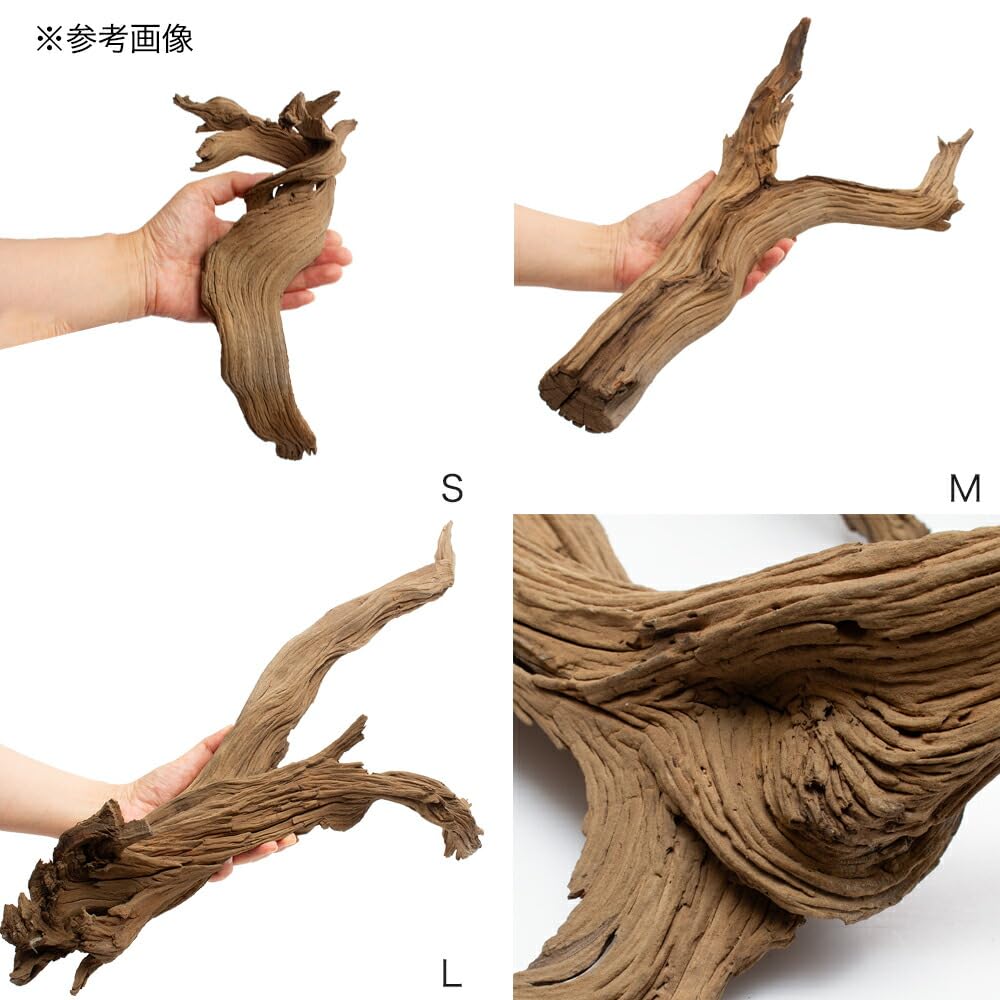 charm　ゴーストウッド　４本セット（未使用保管品）5 Amazon | 形状お任せ 煮込み済み ゴーストウッド Mサイズ（約40cm