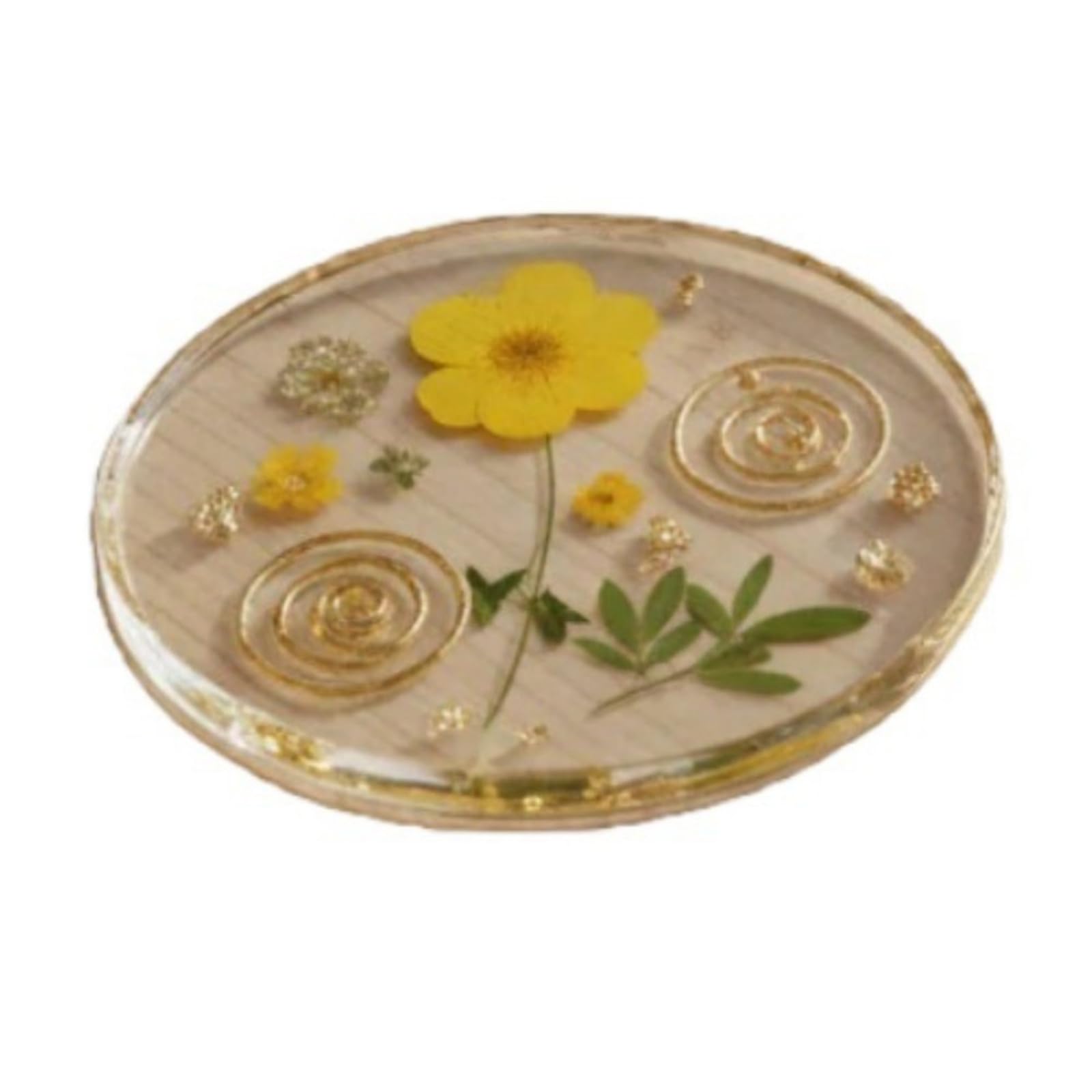 hogtnd Pressed Flowers Acrylic Coasters Waterproof and Easy to Clean Cup Mat for Hot Drinks Home Dining Room Portable Acrylic Coasters with Pressed Flowers