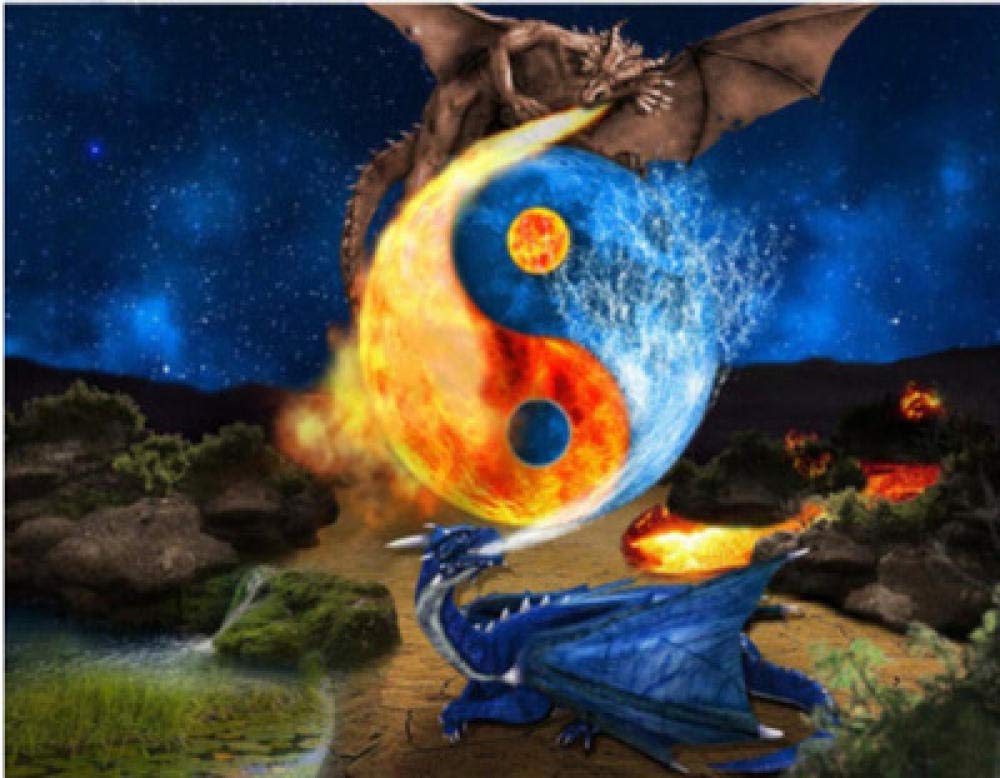 Peinture diamant 5D Tai Chi Dragon en résine carrée 40x55 cm pour une broderie d'art premium