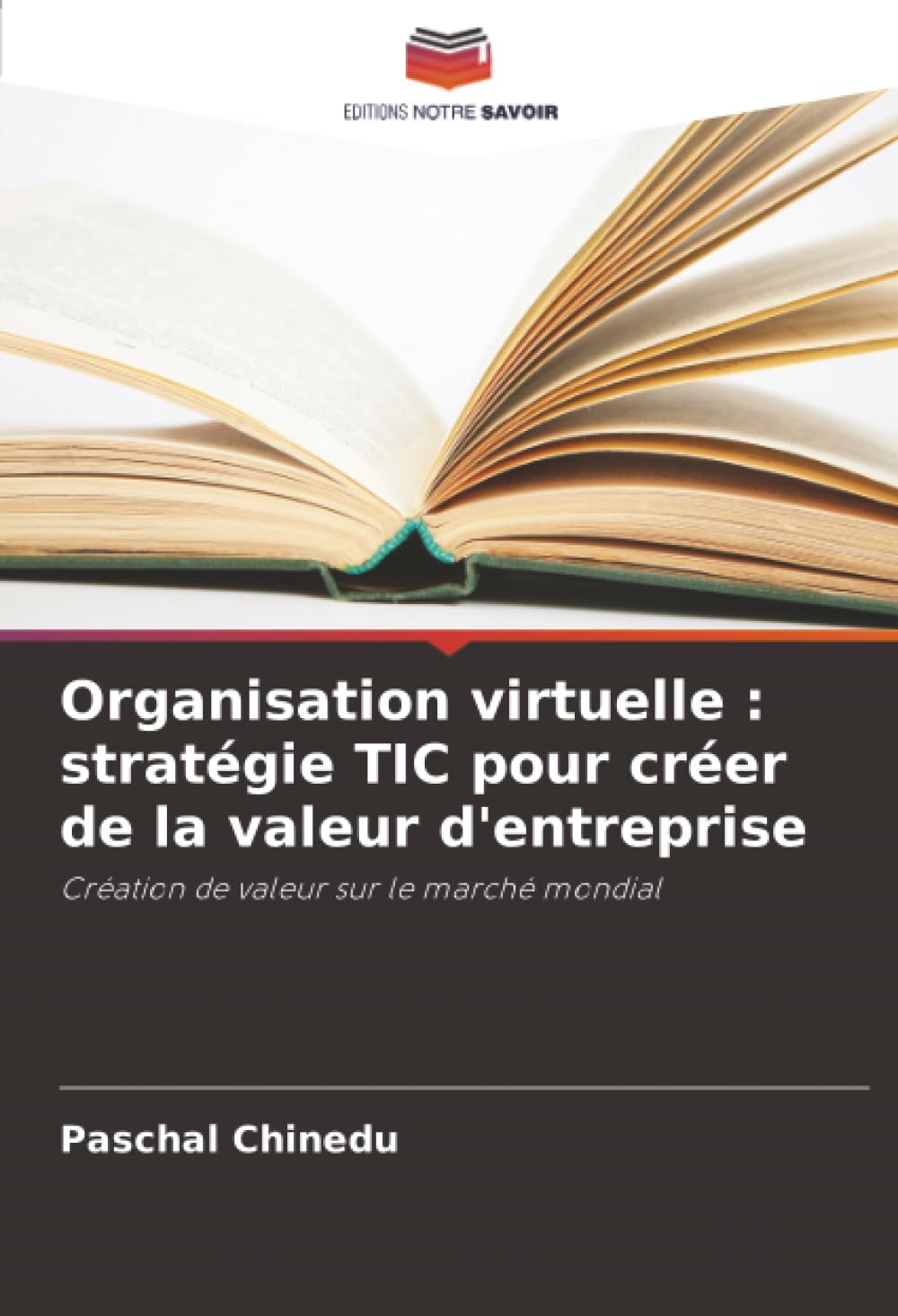 Organisation virtuelle : stratégie TIC pour créer de la valeur d'entreprise: Création de valeur sur le marché mondial