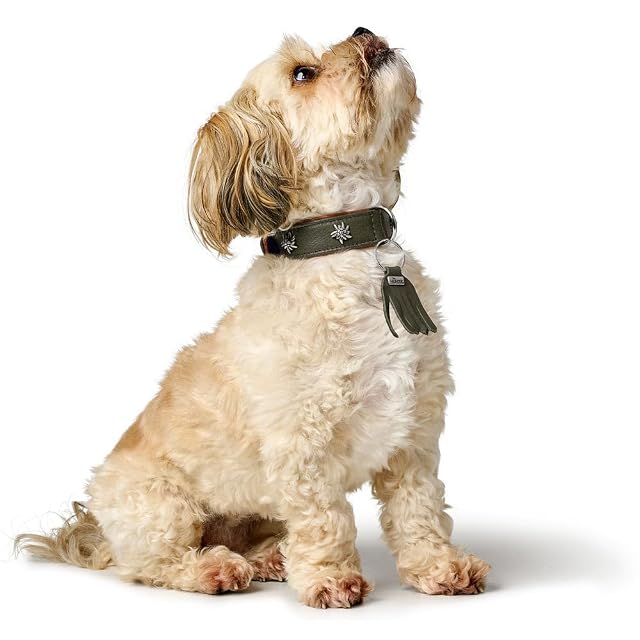 Foto 5 de 8 de HUNTER Collar para Perro München Color: coñac/Negro, Piel, Detalles Nobles, Suave y Resistente