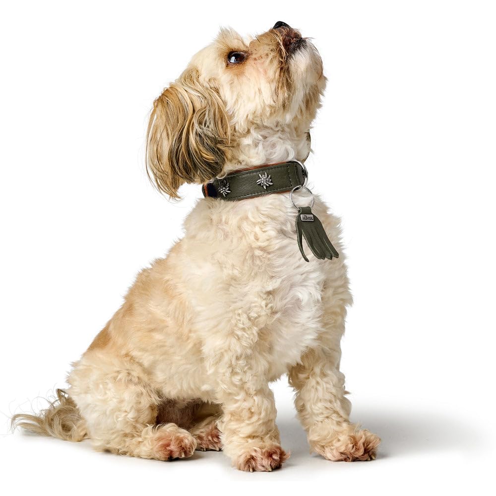 HUNTER Collar de Perro München Color: Verde/coñac, Piel, Detalles Nobles, Suave y Resistente, cuidadoso con la Piel, Lujoso, ecológico, sostenible, Fabricado en Alemania, Talla: 60