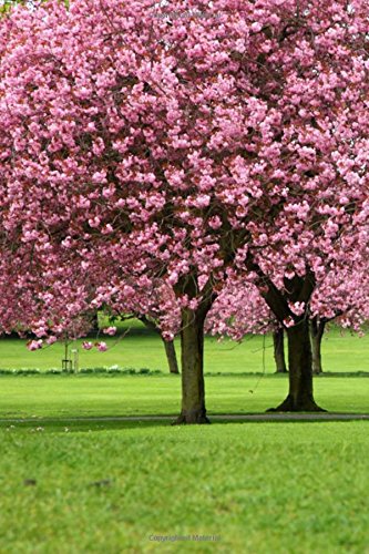 Sakura Trees Journal