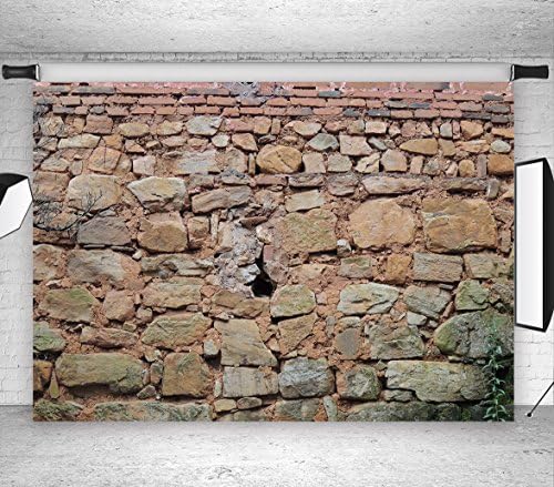 LB 9x6ft Stone Wall Vinyl Photography Backdrop Customized Photo Background Studio Prop DZ273