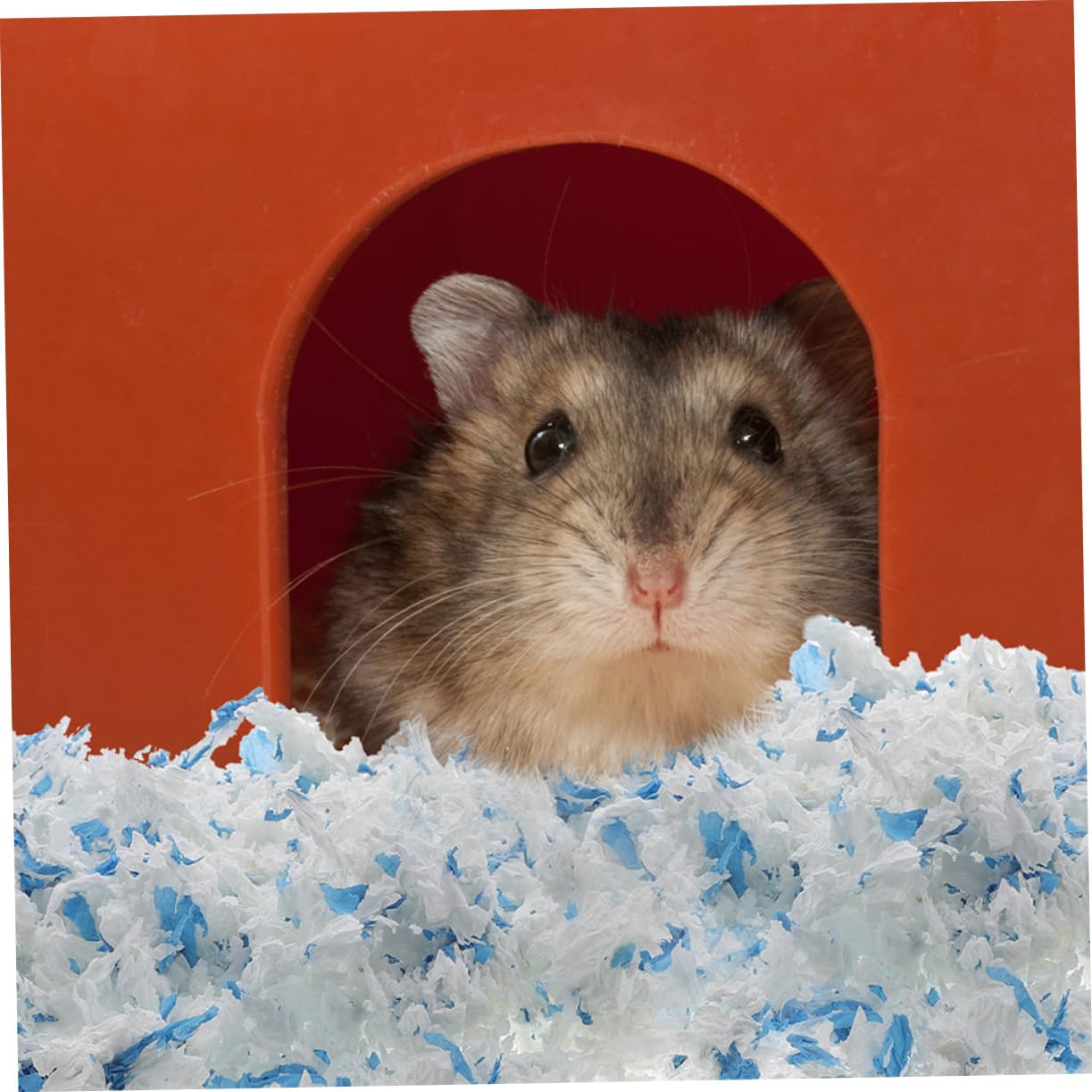 WOONEKY Lettiera in Carta per Piccoli Animali, 2 Sacchetti | Carta, Superficie Confortevole e Calda, per Gabbie di Conigli e Furetti, Formato Compatto