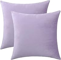 Jeneoo Lavender Velvet Throw Pillow Covers 18x18 Inch 2 Pack, Soft Thick Cushion Cases for Sofa Couch Bedroom Car Decor