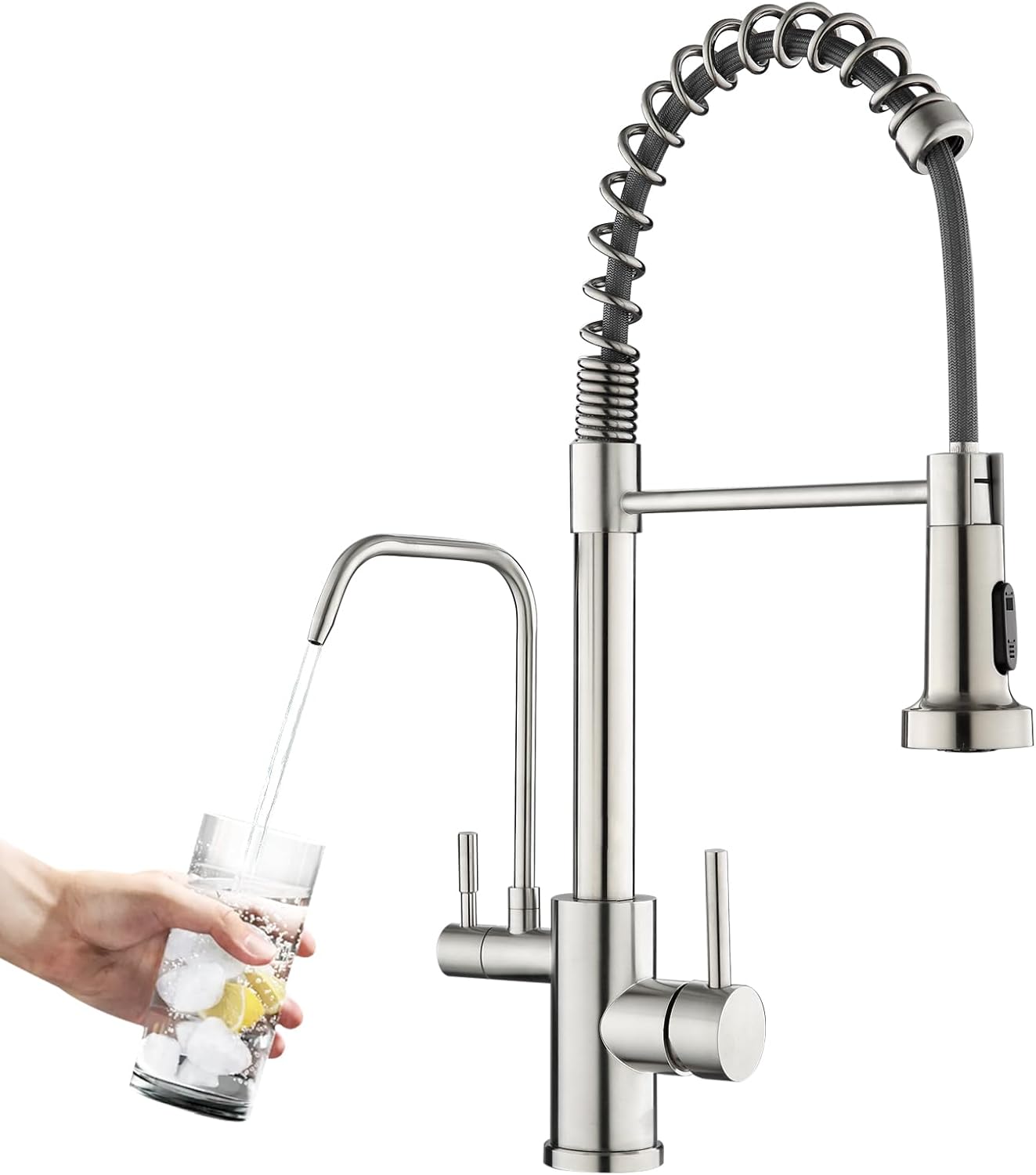 ROVOGO Kitchen Sink Faucet with Pull Down Sprayer and Filtered Water