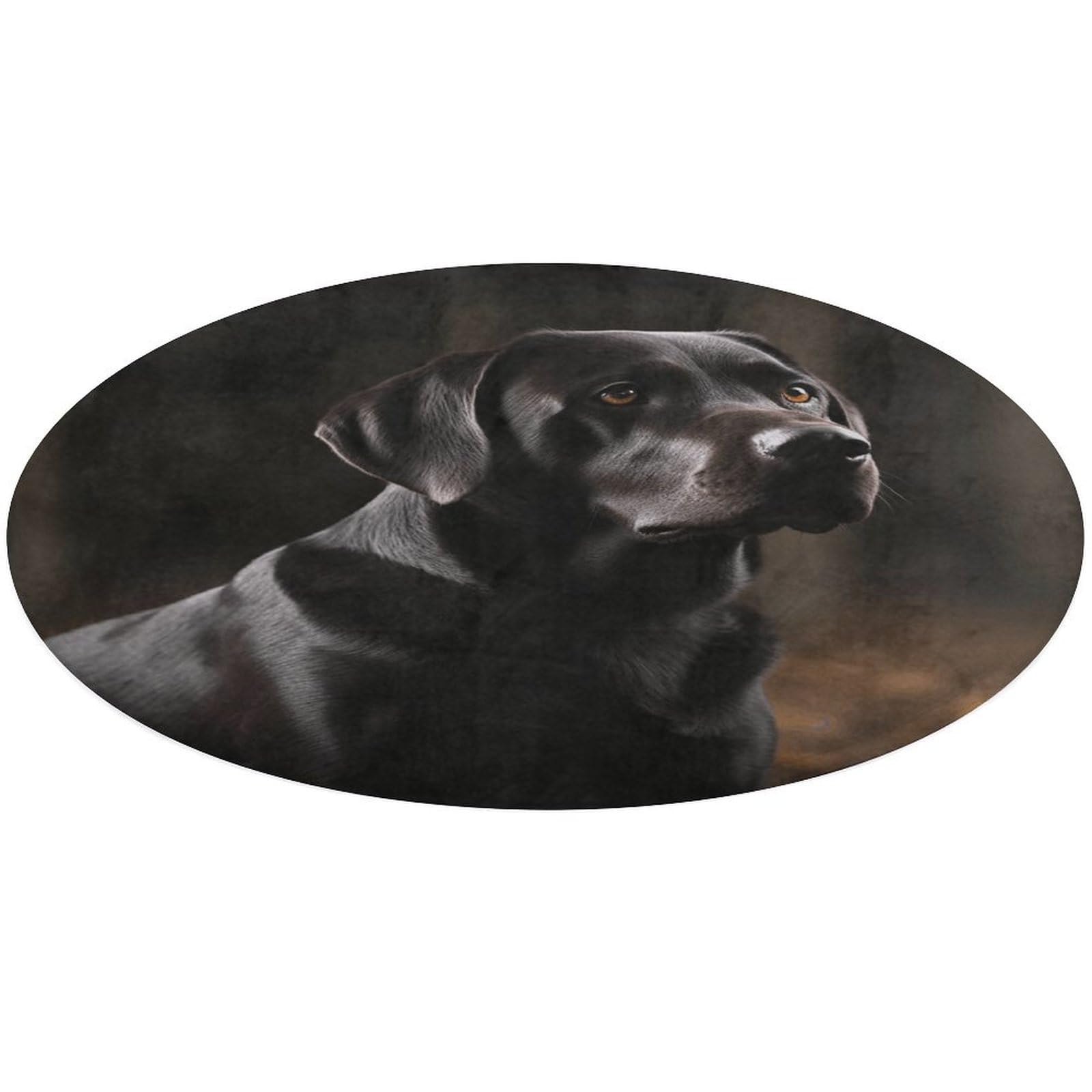 Tapis rond labrador noir pour décorer une salle de jeux d'enfant