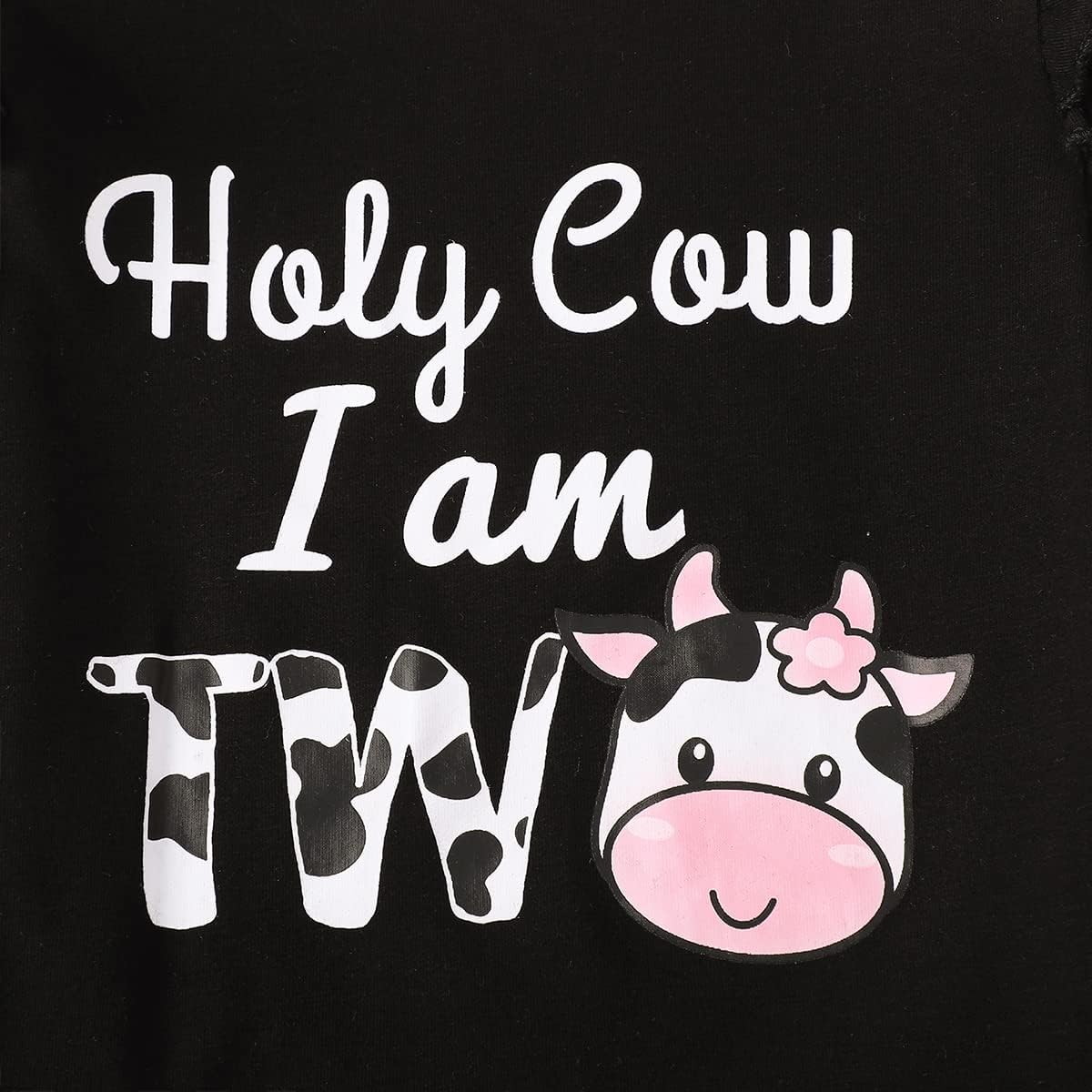 Baby Girl Two Years Old Birthday Outfit Toddler 2nd Birthday Clothes Girl Holy Cow I'm Two Outfit Set - Image 4