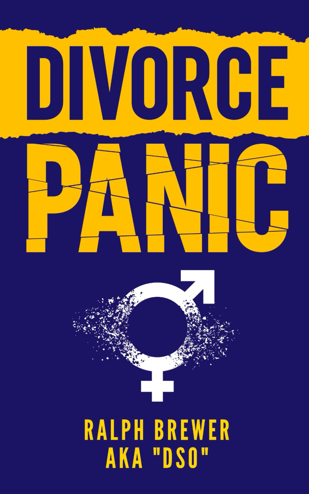 DIVORCE PANIC: A Guide for Men Starting Over in Life