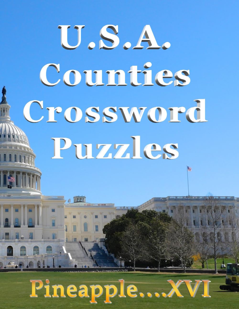 U.S.A. Counties Crossword Puzzles (Pineapple's Fill-in Crossword Puzzles)
