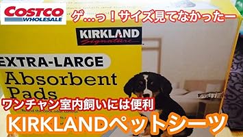 Amazon Kirkland カークランド エクストララージ ペット用吸水シート 100枚 76cm 58cm 3箱 Kirkland カークランド トイレシート 通販
