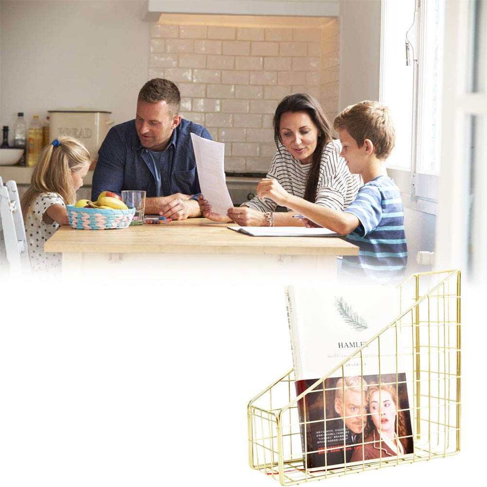Vassoio per Documenti da Lettera, Organizer per Posta Grid, per Riviste, Ripiano in Metallo per Organizer da Tavolo, Titolare del File, Selezionatore di File Versatile,9.8x9.0x3.3Pollici,Light gold