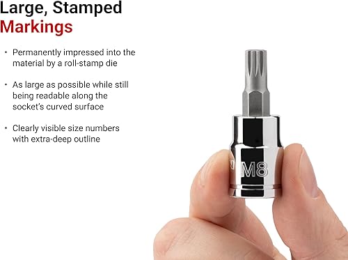 Miniatura 6 de TEKTON Juego de llaves de vaso cuadrado triple de 38 pulgadas y 12 pulgada TR con riel, 11 piezas (M4-M12, MT14-MT18)  SHB99100