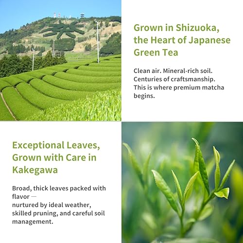 Miniatura 3 de SALBEL Polvo de matcha – Grado Ceremonial Orgánico Japonés, 0.07 oz × 30 paquetes individuales (2.11 oz)
