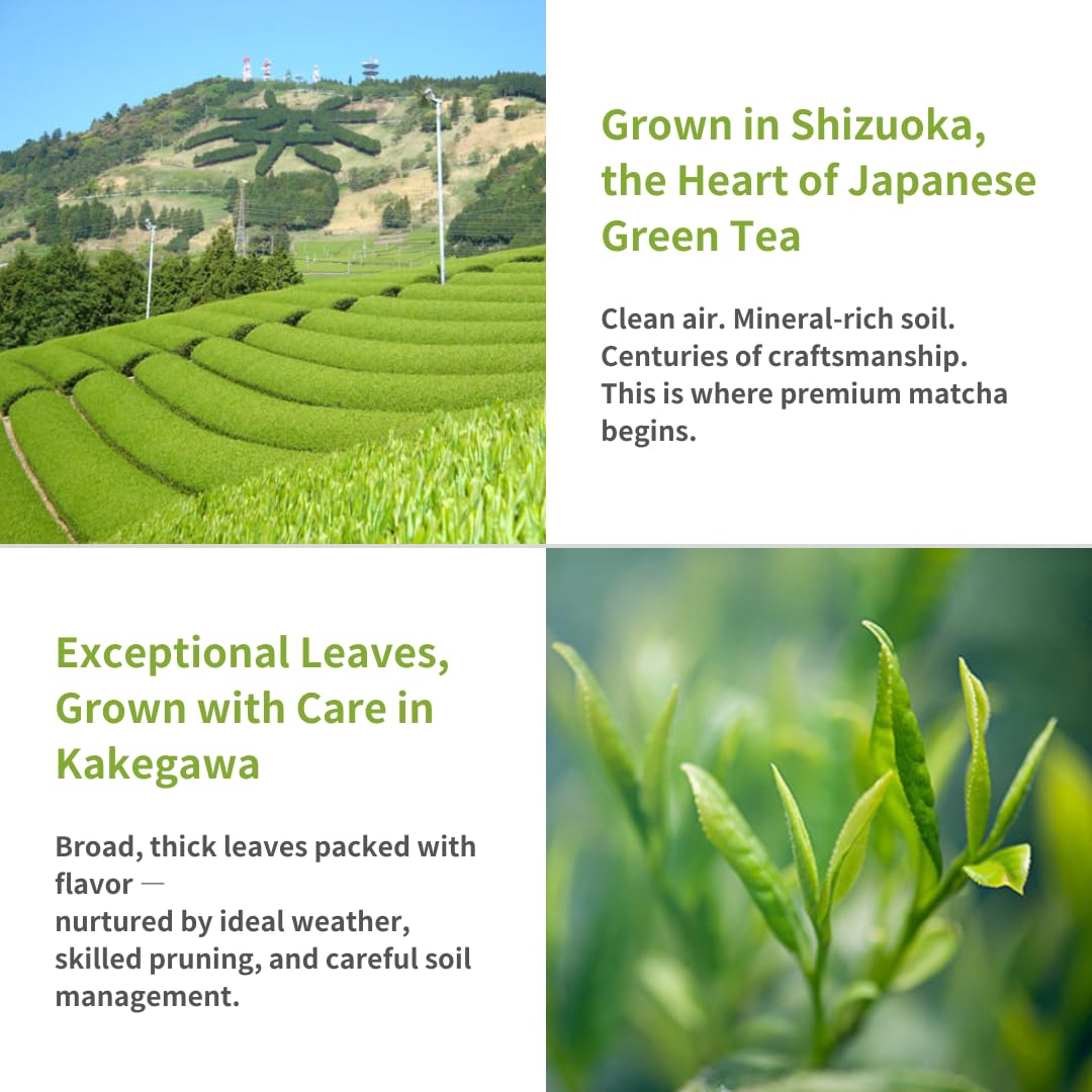 SALBEL Matcha Packets 30 Organic Ceremonial Grade Japanese Matcha Powder 2g Each 2 1 oz Total To Go — view 3