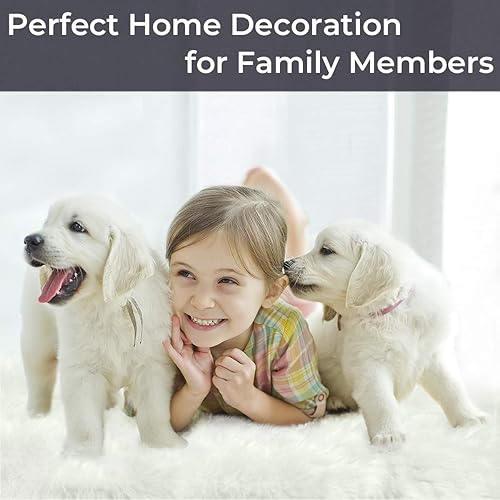 Miniatura 14 de HYSEAS Alfombra de piel de oveja sintética color negro, 2 x 3 pies, paquete de 2, mullida y esponjosa para suelo interior, sofá, silla, dormitorio