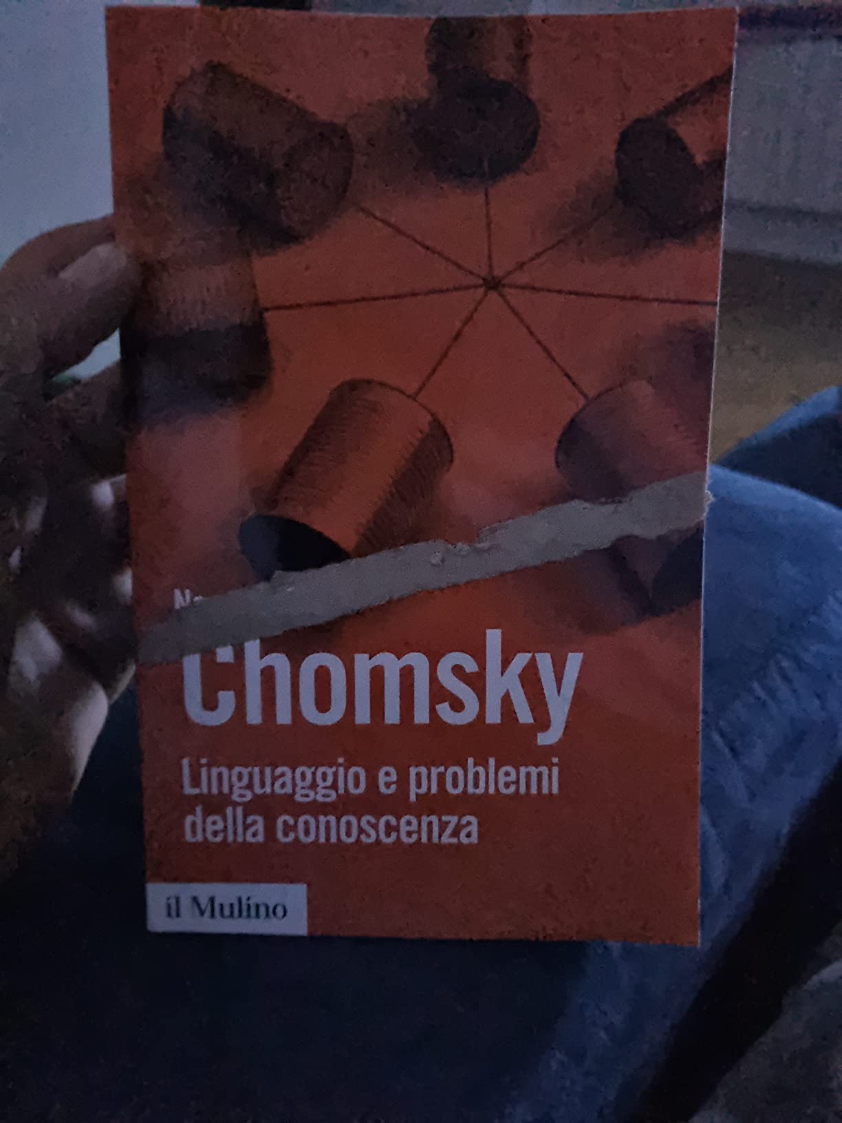 Il libro si presenta con una striscia di cartone incollato sulla copertina,impossibile da levare.