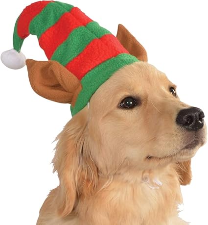 dog elf hat