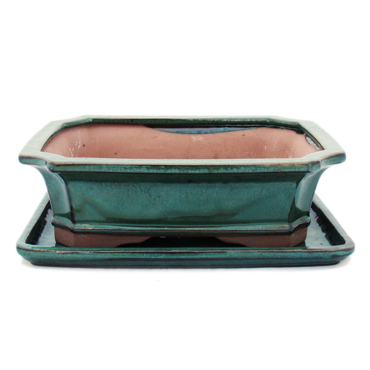 exotenherz Bol à bonsaï avec soucoupe taille 5 - vert - carré - modèle G4 - L 31 cm - l 23 cm - H 9,5 cm