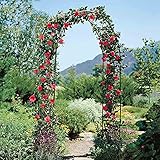 Faszinierende Bögen: Auch ohne Kletterpflanzen können Sie einen schönen Eingang zu Ihrem Garten schaffen