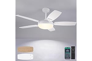 Ashby Park 52-Inch Indoor/Outdoor Ceiling Fan