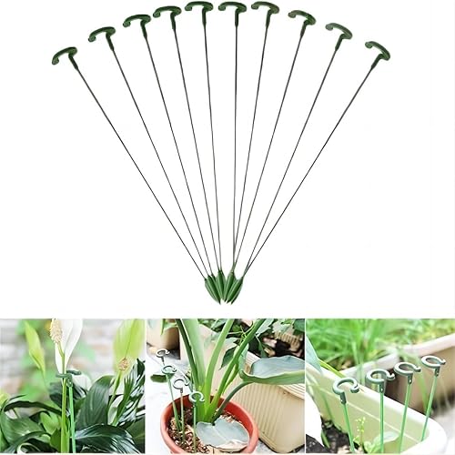 10 estacas de soporte para plantas, varilla de soporte de flores en maceta, marco de protección de hojas antialojamiento, pila de protección de