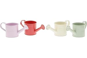 Mini Watering Can Decor: A Dash of Charm for Your Plant Kingdom