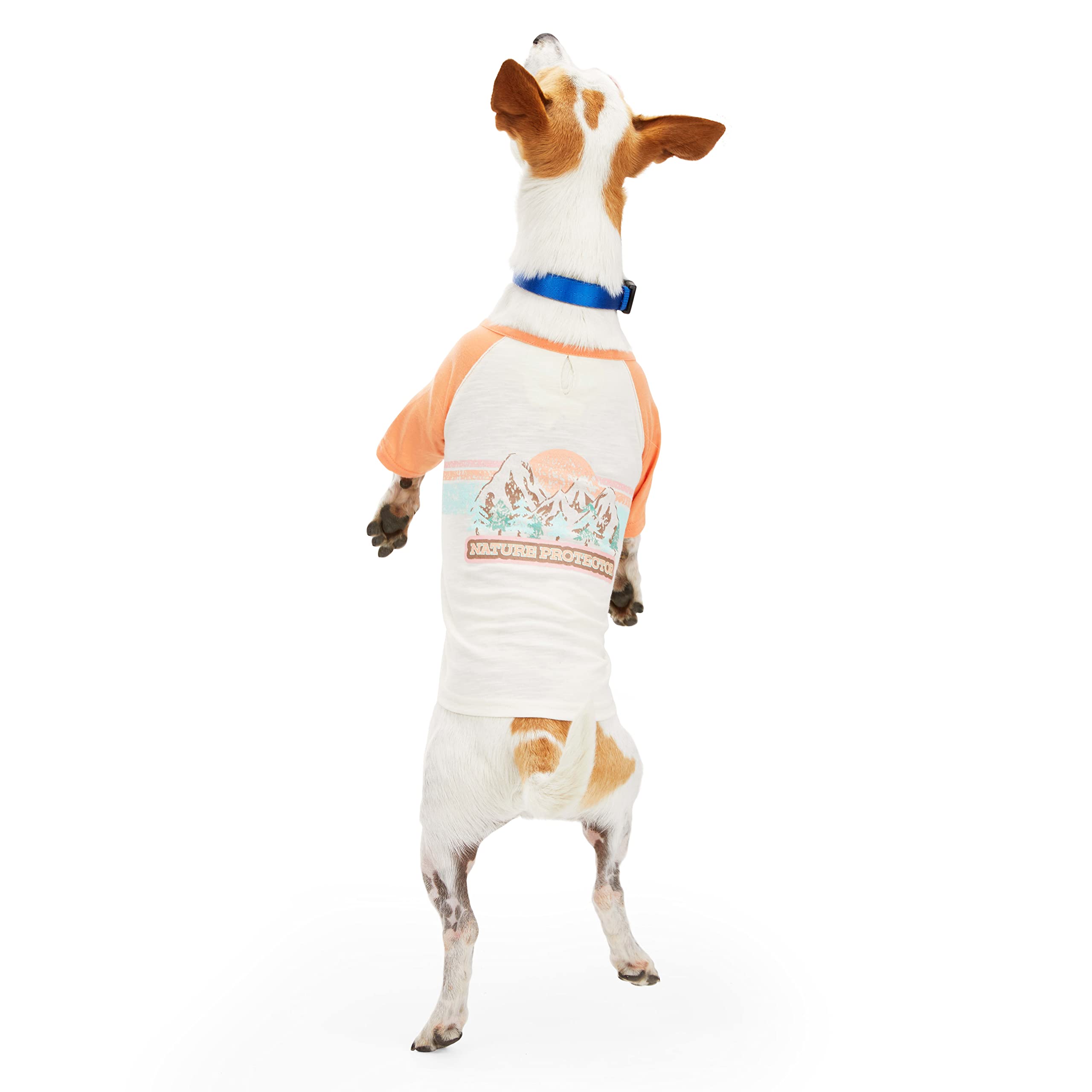 Petco Brand - YOULY Nature Protector Dog Tee, X-Small, Pink