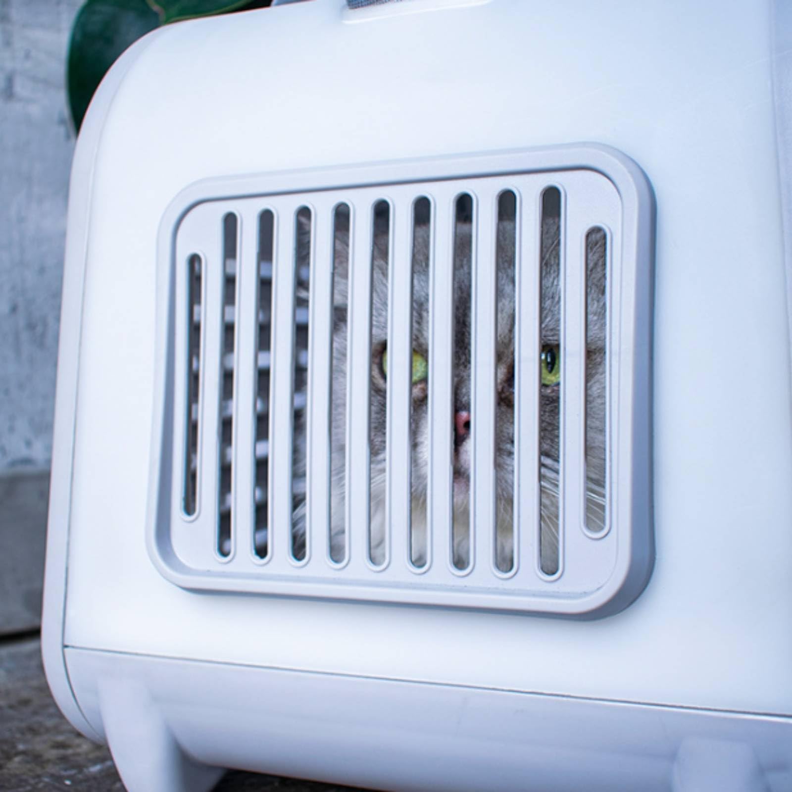 Transportín con Patas Antideslizantes Rígido Bolsa Transporte Resistente para Viajes, Veterinario
