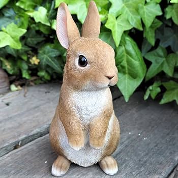 Amazon.co.jp: うさぎの置物 ミニフレンドラビット親子4匹セット Amazon.co.jp: うさぎの置物 ミニフレンドラビット親子4匹セット